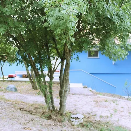 Velenik 2 *